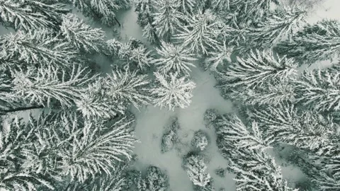 Flight above winter forest while snowing, top view Stock Footage 165136890