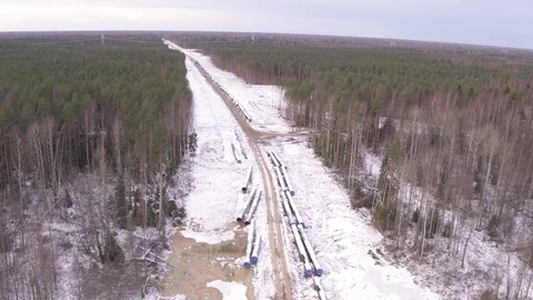 Flight above winter road in forest Stock-Footage 123769643