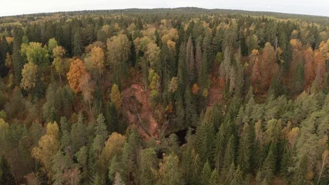 Flight across the forest and the river in the early autumn Stock Footage 117544983