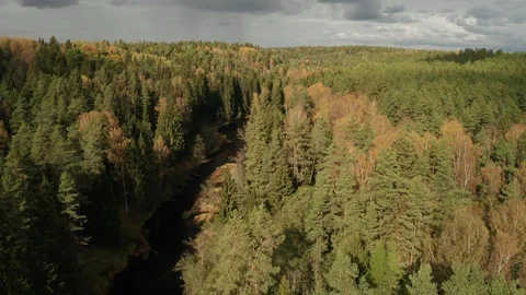 Flight across the forest and the river in the early autumn 動画素材 117545180