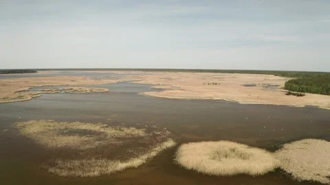 Flight across the lake 動画素材 111418684