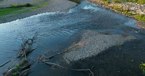 Flight across a rushing mountain river. A rocky river in the middle of a fore Video stock 198030440