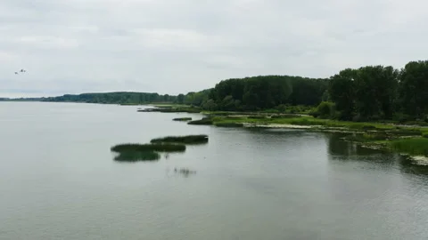 Flight along the coast of a huge river Stockbeeldmateriaal 133239391