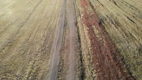 Flight along the field road Stock Footage 163091246