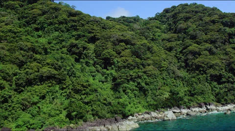 Flight along forest covered coast line hills with tropical ocean Stock-Footage 25334129