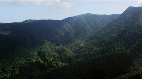 Flight along forrest covered mountain range Video stock 28959332