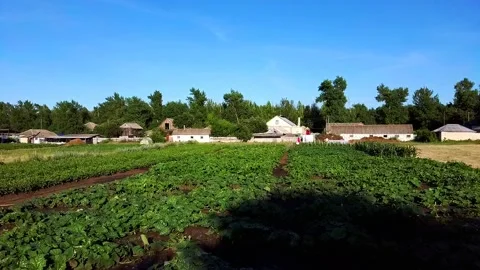 Flight along the garden Video stock 134350428