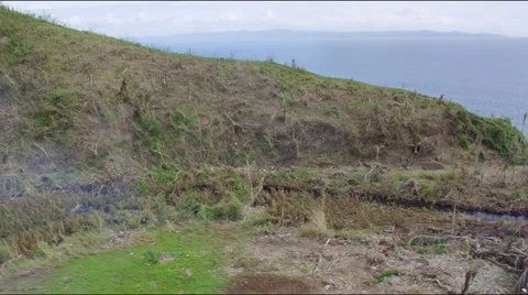 Flight along a hill with broken palm trees from storm haiyan Stock Footage
