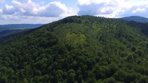 Flight along the mountain with green trees. Aerial view. Stock-Footage 82668630