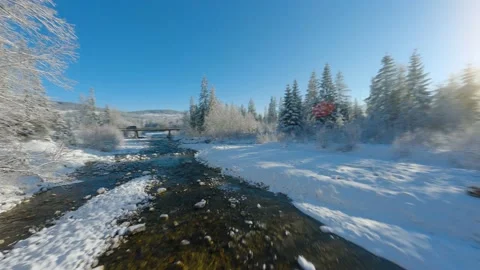 Flight along a mountain river surrounded by a snow-covered forest. Stock Footage 222535688