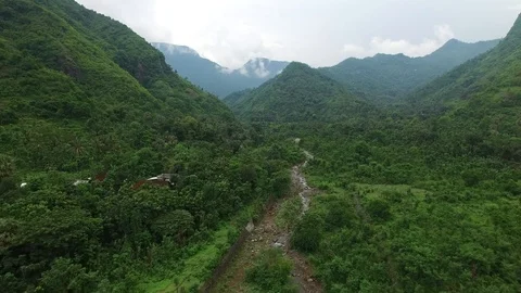 Flight along mountains covered with rainforest Stock Footage 108679465