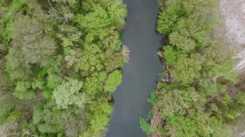 Flight along the river top view Video stock 130818686