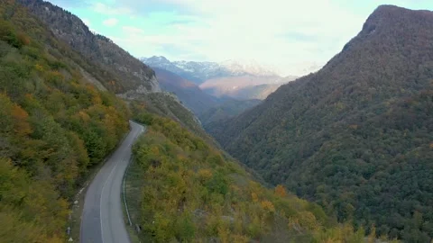 Flight along the road Stockbeeldmateriaal 164173591