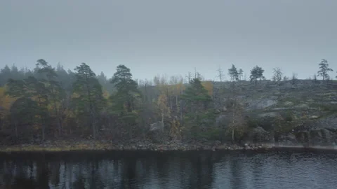 Flight along the rocky coast. Rare vegetation. Harsh northern climate Stock Footage 219925518