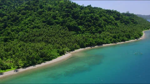 Flight along a sandy coastline with the forest reaching close to the ocean Stock Footage 25332529
