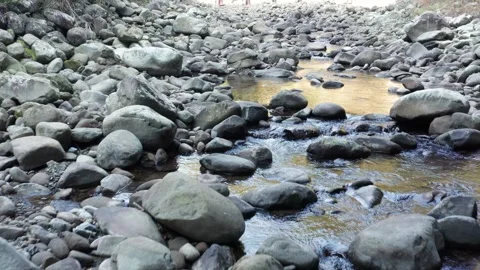 Flight along small river in valley Stock Footage 259609466