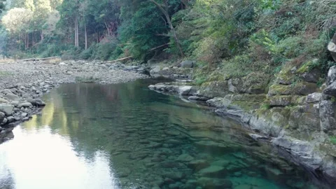 Flight along small river in valley Stock Footage 259609467