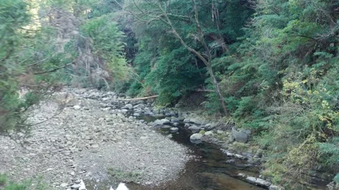 Flight along small river in valley Stock Footage 259609508