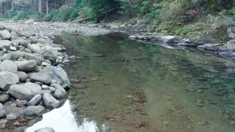 Flight along small river in valley Stock Footage 259609559