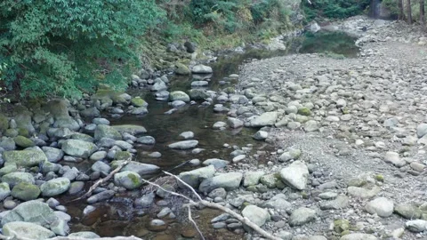 Flight along small river in valley Stock Footage 259609562