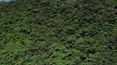 Flight along tree top covered rolling hills Stock-Footage 25399790