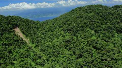 Flight along tree top covered rolling hills Video stock 25402455