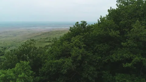 Flight along the trees overlooking the meadow Stock Footage 152956719