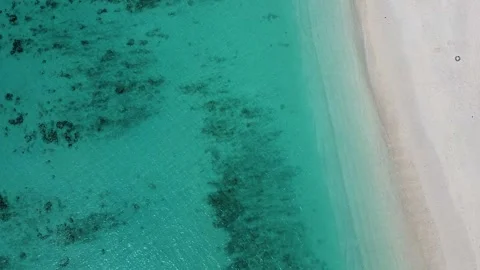 Flight along a tropical beach with white sand and clear water off the coast Vídeo Stock 172342922