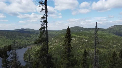 Flight Among the Mountain Trees - Sept Chutes Stock Footage 158178029
