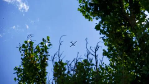 Flight Among the Treetops Foto stock