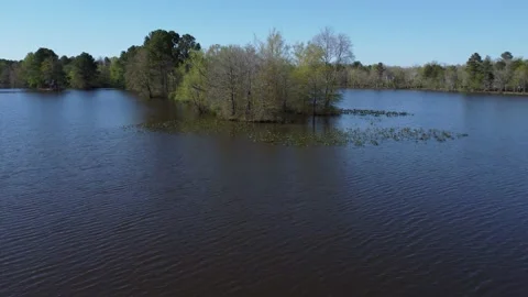 Flight up and over trees at lake Видео 238033785