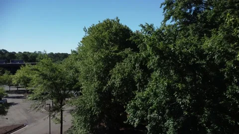 Flight up and over trees with left turn in a business park Video stock 240021239