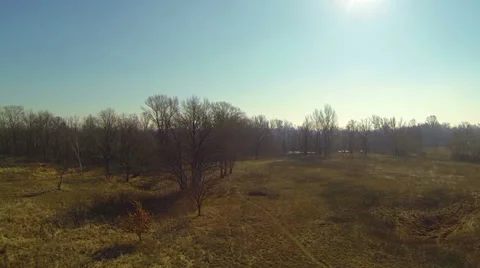 Flight and rotation over a field with trees. Aerial videography. Stock Footage 36157034