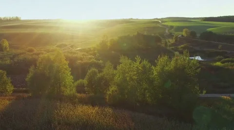 Flight and takeoff above corn field at golden sunset, aerial panoramic view. Video stock 56206924