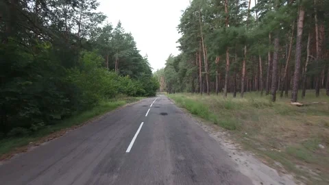 Flight and takeoff over an old road in a pine forest Video stock 237399160