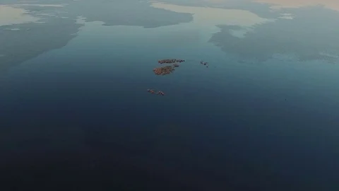 Flight and takeoff over wild frozen lake in winter on sunset, aerial view. Stock-Footage 70375630