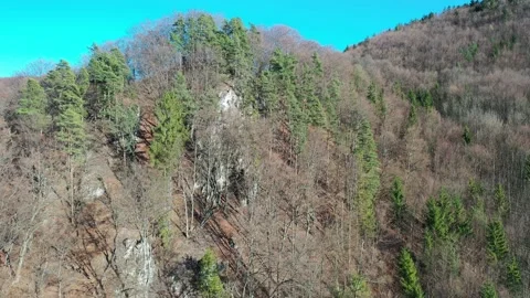 Flight around forested rock with old pine trees, early spring season Stock Footage 137387353