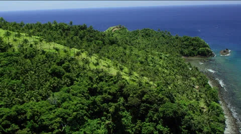 Flight around a palm covered peninsular Video stock 25396589