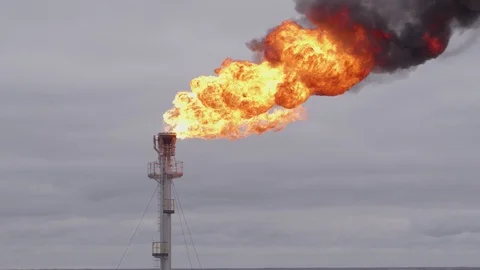 Flight around torch Vídeo Stock 94723131