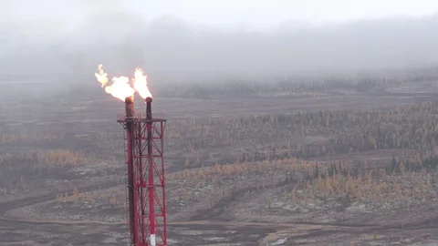 Flight around torch Stock-Footage 94724952