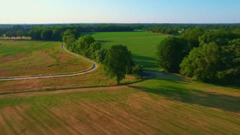 Flight around a tree. Stock Footage 260821295
