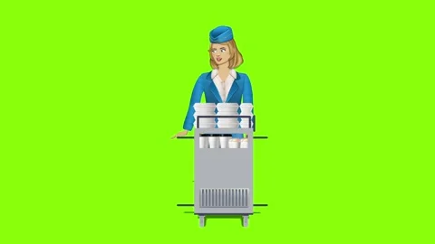 Flight Attendant Video stock 329769607