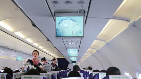 Flight Attendant Services on the Plane. HD Stock-Footage 49480445