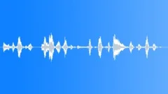 Flight attendantSound Effect