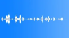 Flight attendant Sound Effect