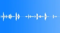 Flight attendantSound Effect