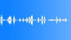 Flight attendant Sound Effect