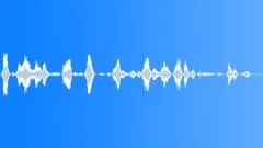 Flight attendant Sound Effect