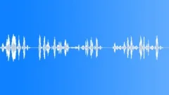 Flight attendantSound Effect
