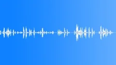 Flight attendantSound Effect